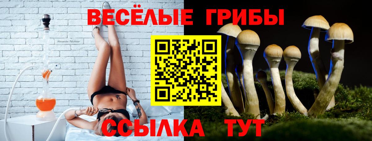 Псилоцибиновые грибы мицелий Алапаевск